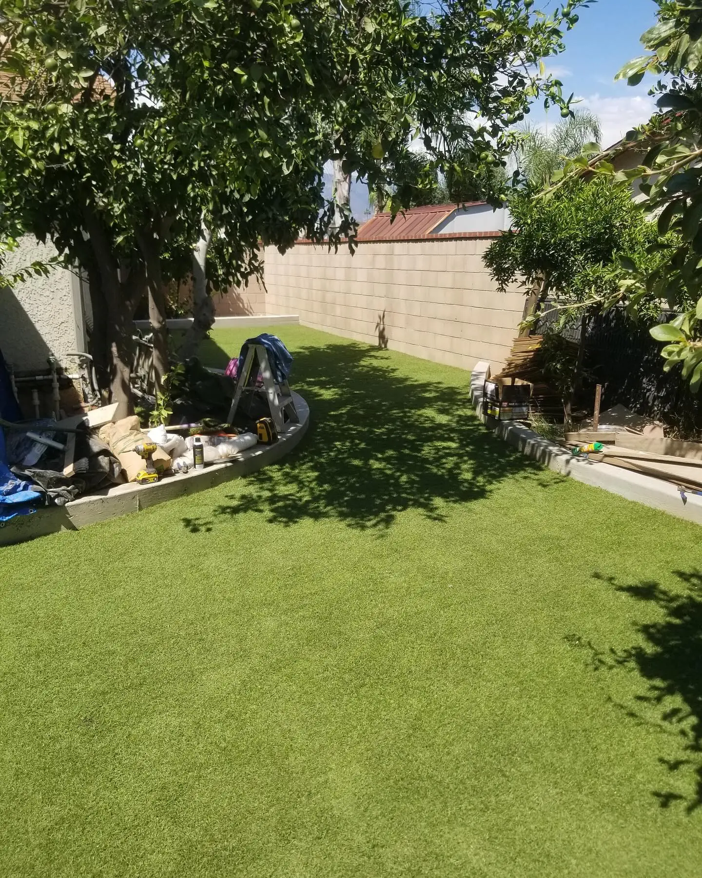 Artificial turf lawn with a modern curved curb edge by Mountain Ridge Renovations